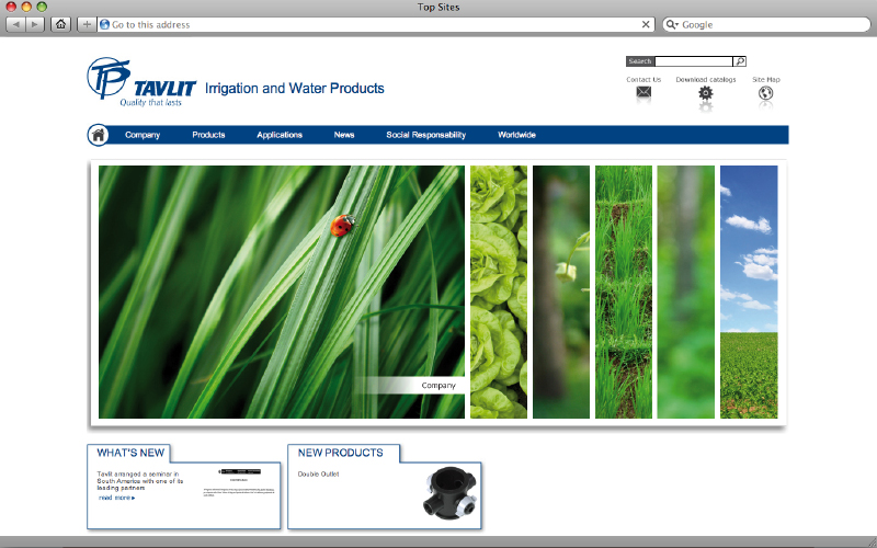 design site web - Tavlit